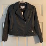 Cupcakes and Cashmere Leather Jacket Photo 0