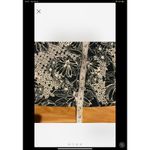 Abercrombie & Fitch  Floral Mini Skirt Womens Size M Black‎ Beige Photo 1