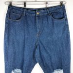 Nasty Gal Size 16 Jeans Distressed Skinny Blue Pockets Solid Denim Cotton 1182 Photo 1