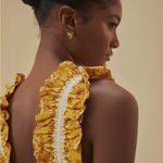 Farm Rio  Aura Midi Dress Photo 4