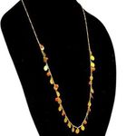 J.Crew  Elegant Gold and Orange Necklace Photo 0
