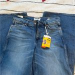 Wrangler x pacsun Classic Indigo lowrise Relaxed Jeans Photo 0
