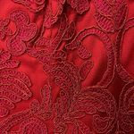 Tadashi Shoji  Flame Queen‎ Anne Neckline Open Back Corded Lace Tulle Dress Red 6 Photo 5