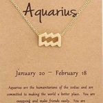 🆕Aquarius Zodiac Astrology Pendant Necklace Photo 0