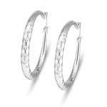 Faux Silver Plated Big Hoop‎ Fashion Jewelry Earrings Photo 1
