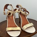 Rebecca Minkoff Rosalie size 9 neutral cream heeled strappy ankle strap sandals Photo 1