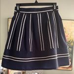 Molly Bracken  Navy and White A-Line Skirt Photo 0