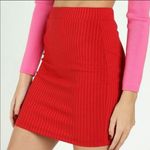 Honey Punch Ribbed Knit Bodycon Skirt Photo 5