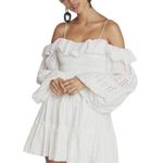 CHOOSY Endless Summer Off Photo 2