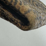 HOBO Intl Lauren Clutch Wallet in Embossed Snakeskin Brown Photo 2