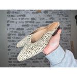 Caslon  | women fur printed calf hair mules Photo 7