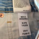 Citizens of Humanity  premium vintage Bree relaxed striped shorts size 27 Photo 7