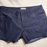 Carve Designs  4” corduroy shorts size 10
Dark blue Photo 0