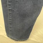 Torrid  dark wash jegging Photo 3