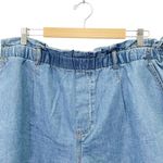 Anthropologie Pilcro Denim Shorts Size XL Light Wash Relaxed Fit Elastic Waist Normcore Casual Photo 4