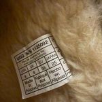 UGG Mini Platform  Photo 3