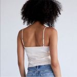 LA Hearts  | PacSun Women's Small Pale Pink Bustier Jacquard Crop Top Photo 1