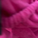 Wild Fable  Set Two-Piece Top Photo 1