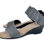 Charleston Shoe Co Justice Silver Metallic Wedge Sandals Size 9 Photo 0