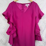 Badgley Mischka  Belle Pink Ruffle Bell Sleeves V-Neck‎ Cocktail Dress Size 10 Photo 11