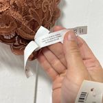 Aeropostale NWT Aerpostale Brown Lace Racerback padded bralette size XS Photo 3