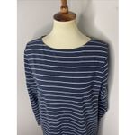 Ann Mashburn  Cotton Blue White Stripe Boat Neck Longsleeve Shift Dress Large L Photo 5