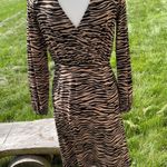 Ann Taylor NWT  loft zebra print dress Photo 3