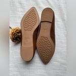 Zodiac  Hill Snake Embossed Pointed Toe Flat Photo 6