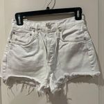 AGOLDE Denim Jean Shorts Photo 0