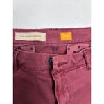 Pilcro and the Letterpress  Maroon Hyphen Hipster Boho Low Rise Chinos In Size 31 Photo 3