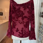 Vintage y2k velvet burnout whimsigoth rose deep red vneck blouse Size 1X Photo 8