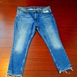 POLO Ralph Lauren size 14 jeans Photo 0