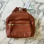 NWT AR NEW YORK Photo 0