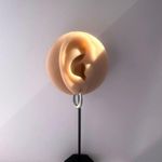 Small Oval Silver Hoop Earrings for Women Photo 4