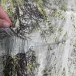 KOMAROV Crinkle Mesh Long Sleeve Shirt Medium Beige Green Retro Blouse Career Photo 2