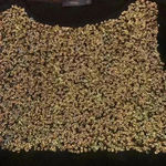 THML  gold sequin pullover black sweater size Medium Exc Con Photo 3