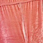 Free People  x CP SHADES Cara Velvet Button Down Shirt in Pink size‎ Small Photo 8