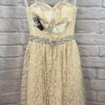 Faviana CREAM STRAPLESS EMBELLISHED SHEATH DRESS Photo 2