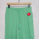Aerie Women's Green High Waisted Ski Print Fleece Jogger Lounge Pants XS Photo 3