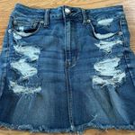 American Eagle  Outfitters Mini Skirt Photo 0