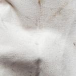 Augusta Sportswear Birdorable JRN Tucan Large Tote Bag 14.5" x 19" Photo 9