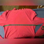 Feathers Pink Mock Neck Crop Blouse Large Photo 3