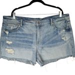 American Eagle  Distressed Shorts Sz 18 Light Medium Wash Denim Raw Hem Photo 0