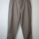 The North Face  Women's Taupe Jogger Pants Medium Hiking Camping Fishing Photo 0