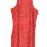 Lovers + Friends NWT caspian lace mini dress Photo 0