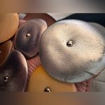 Cole Haan RARE Vintage MELBOURNE Pink Leather Disc Design Handbag Tote Purse Photo 4