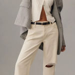 Hudson  Rosie Distressed‎ High Rise Wide Leg Ankle Jeans Size 34 Ecru Vintage Photo 0