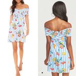 Show Me Your Mumu mandy fruit Basket stripe poplin mini dress vacation beach S Photo 1