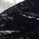 Ariat Black Velvet Camisole Top - XS Photo 4