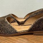 Madewell The Marisa d’Orsay Spotted Calf Hair Toffee Multi Flat CURRENT SEASON Photo 3